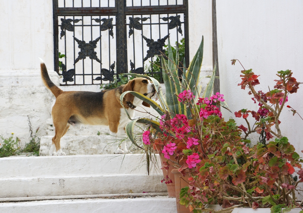 Chora, Kythira Island, Greece