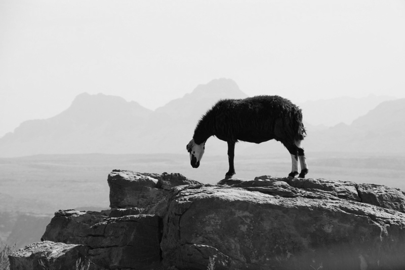 Hajar Mountains, Oman