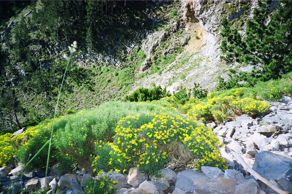 Mt. Olympus, Greece