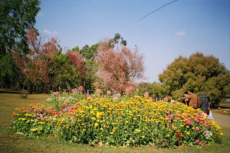 Botanical Gardens, Pyin U Lwin, Myanmar