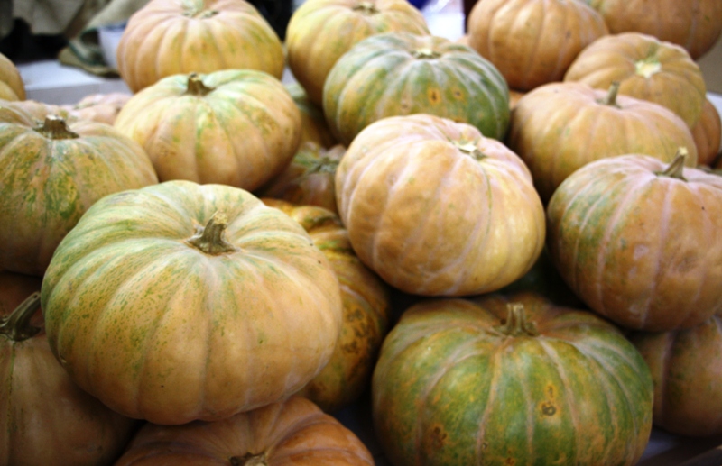 The Food Market, Nizwa, Oman