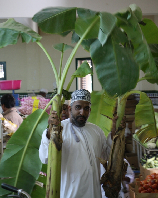 The Food Market, Nizwa, Oman