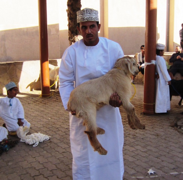 The Goat Market, Nizwa, Oman