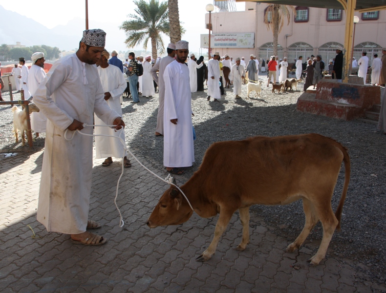 The Goat Market, Nizwa, Oman