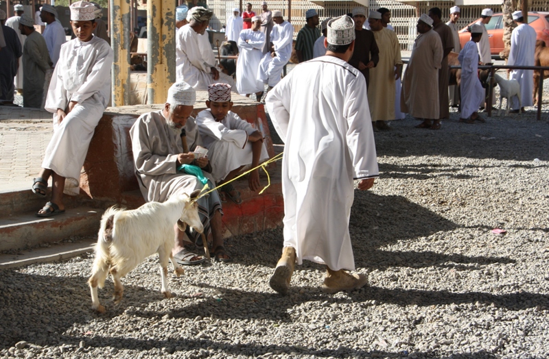 The Goat Market, Nizwa, Oman