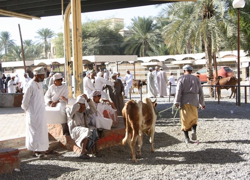 The Goat Market, Nizwa, Oman