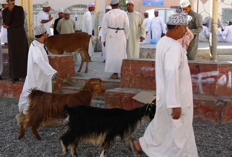 The Goat Market, Nizwa, Oman