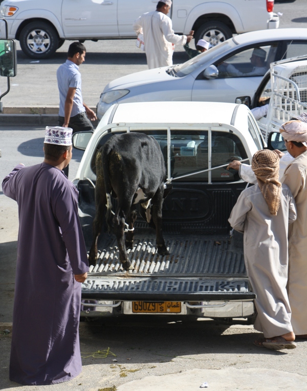 The Goat Market, Nizwa, Oman