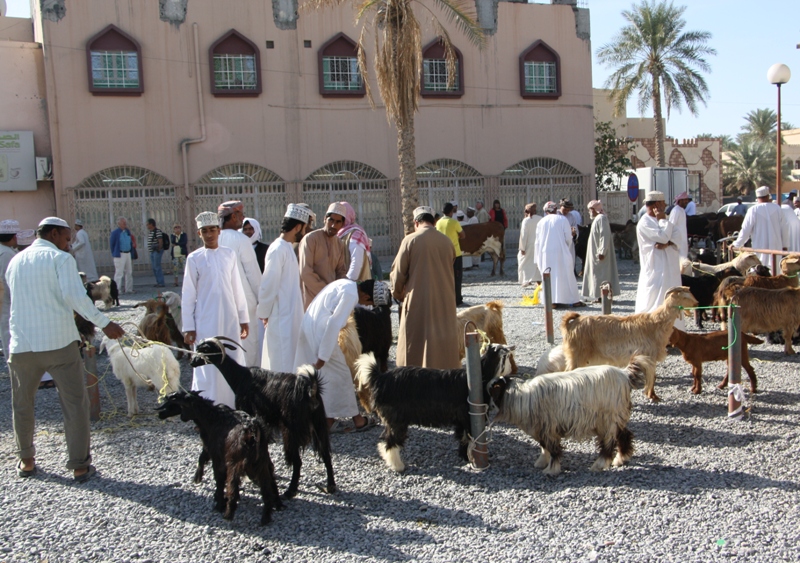 The Goat Market, Nizwa, Oman