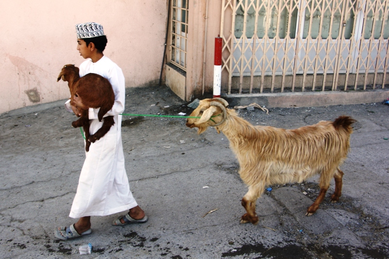 The Goat Market, Nizwa, Oman