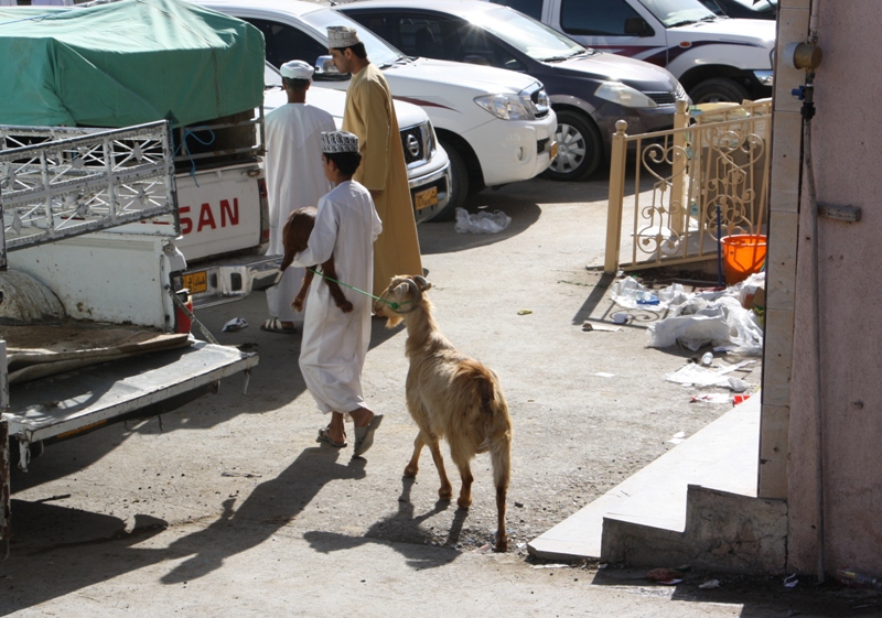 The Goat Market, Nizwa, Oman