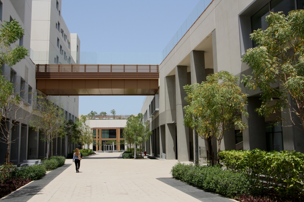 New York University Abu Dhabi