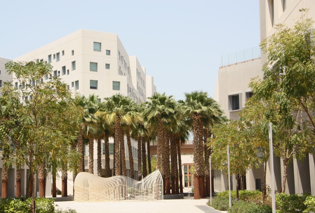 New York University Abu Dhabi