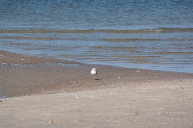 Palanga, Lithuania