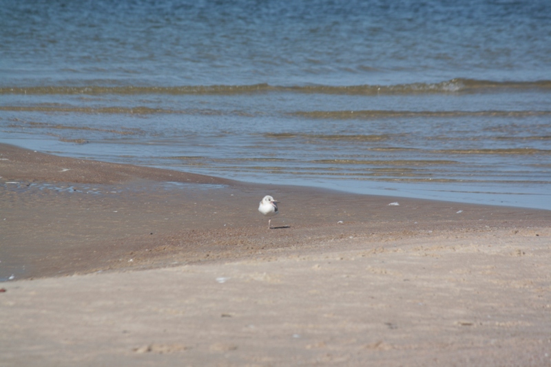 Palanga, Lithuania