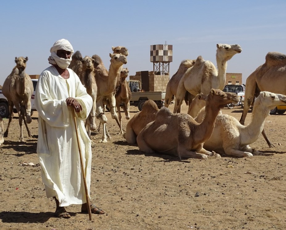 Camel Market, Omdurman, Sudan