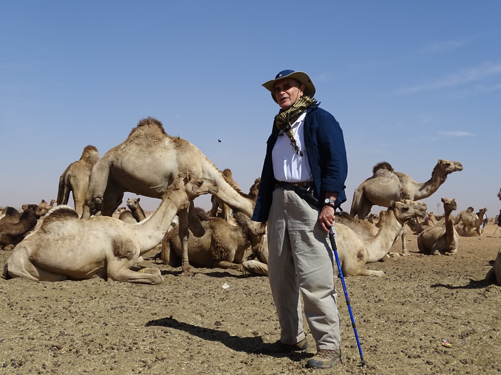 Camel Market, Omdurman, Sudan