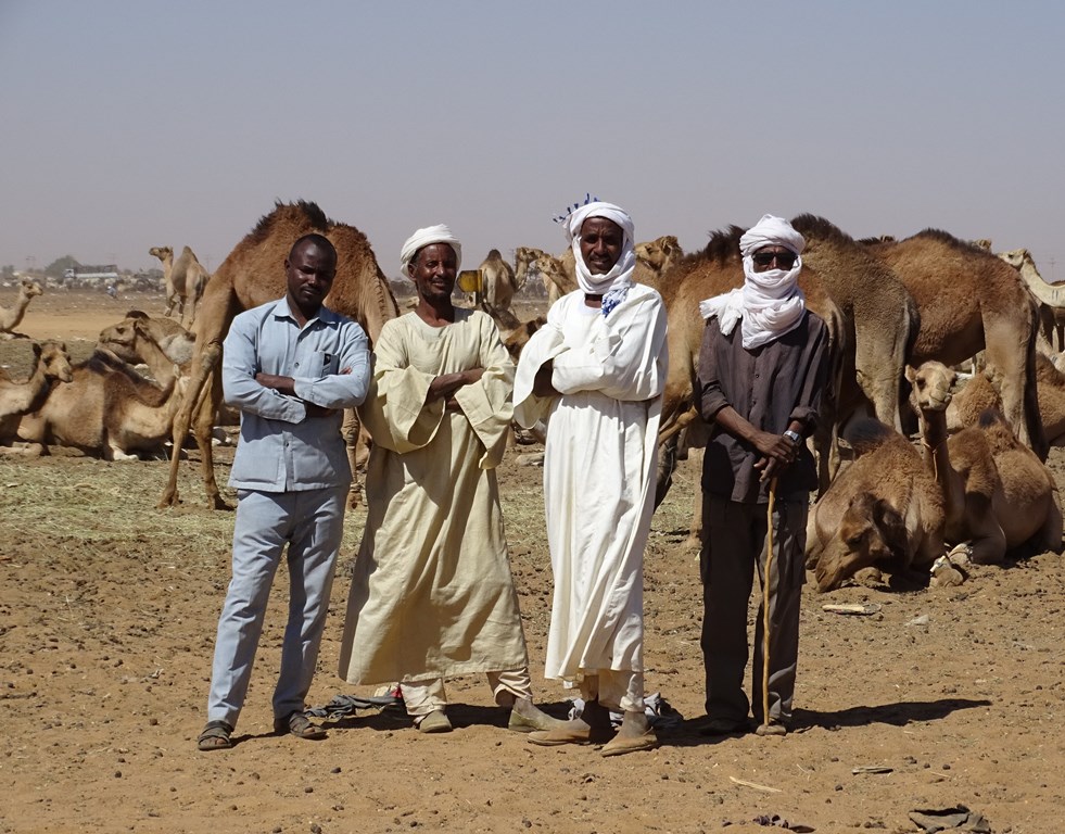 Camel Market, Omdurman, Sudan