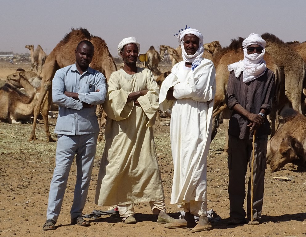 Camel Market, Omdurman, Sudan