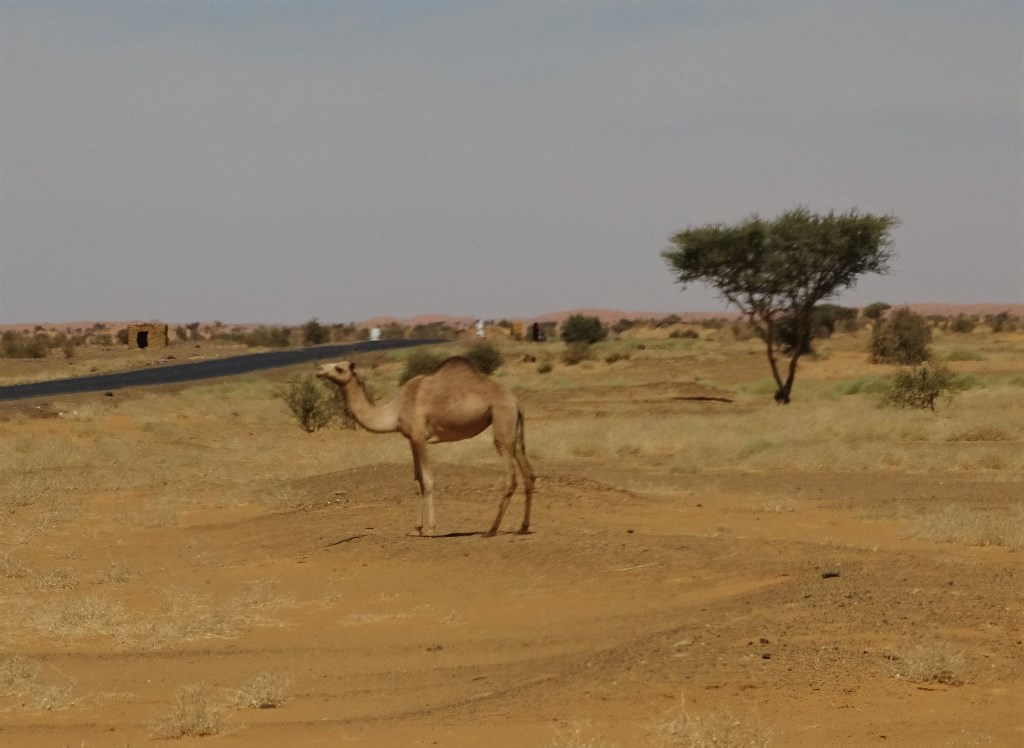 The West Road, Bayuda Desert, Sudan