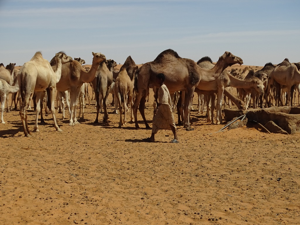 The West Road, Bayuda Desert, Sudan