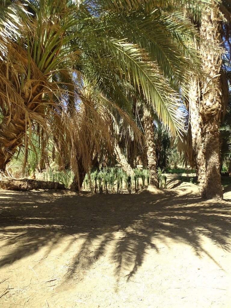  The Nile, El-Kurru, Sudan