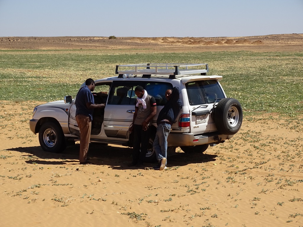 Sudan Desert