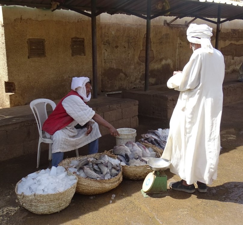 Fish Market,, Omdurman, Sudan