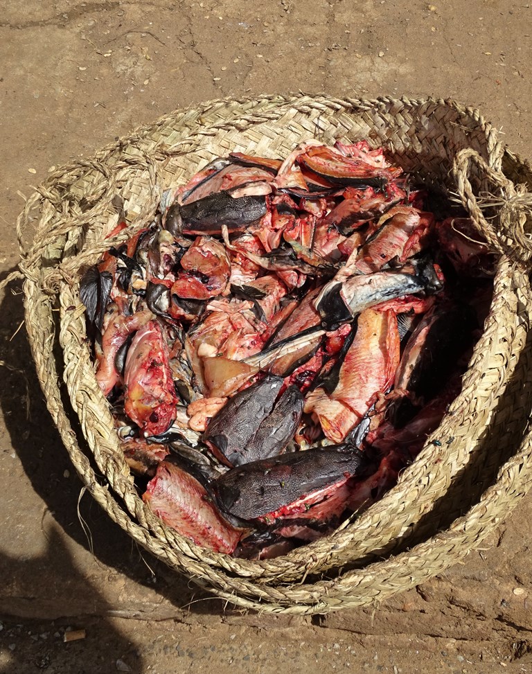 Fish Market,, Omdurman, Sudan