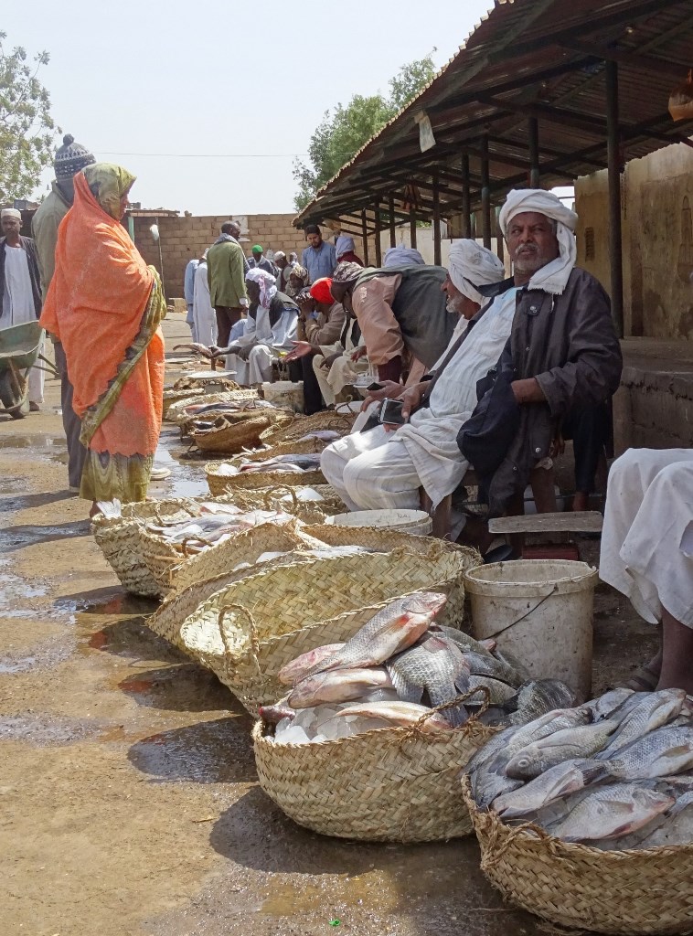 Fish Market,, Omdurman, Sudan