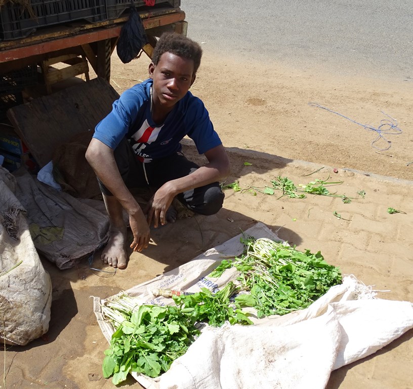 Green Market, Omdurman, Sudan