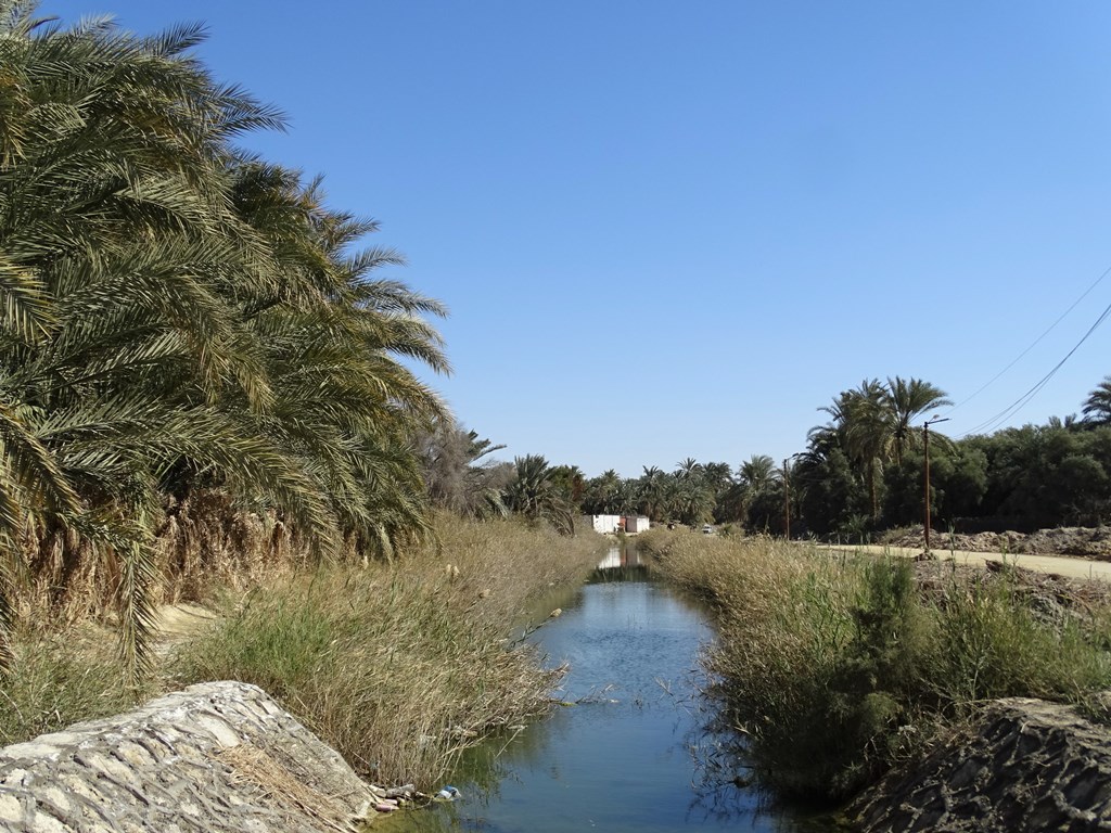 Siwa Oasis, Western Desert, Egypt