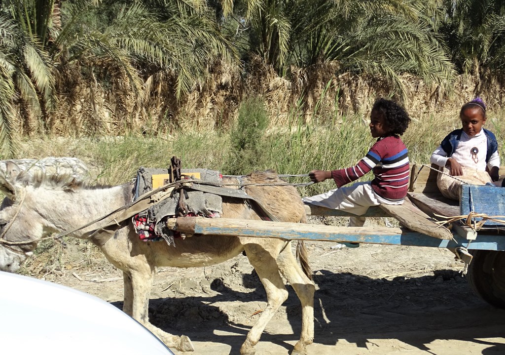 School Bus, Siwa Oasis, Western Desert, Egypt