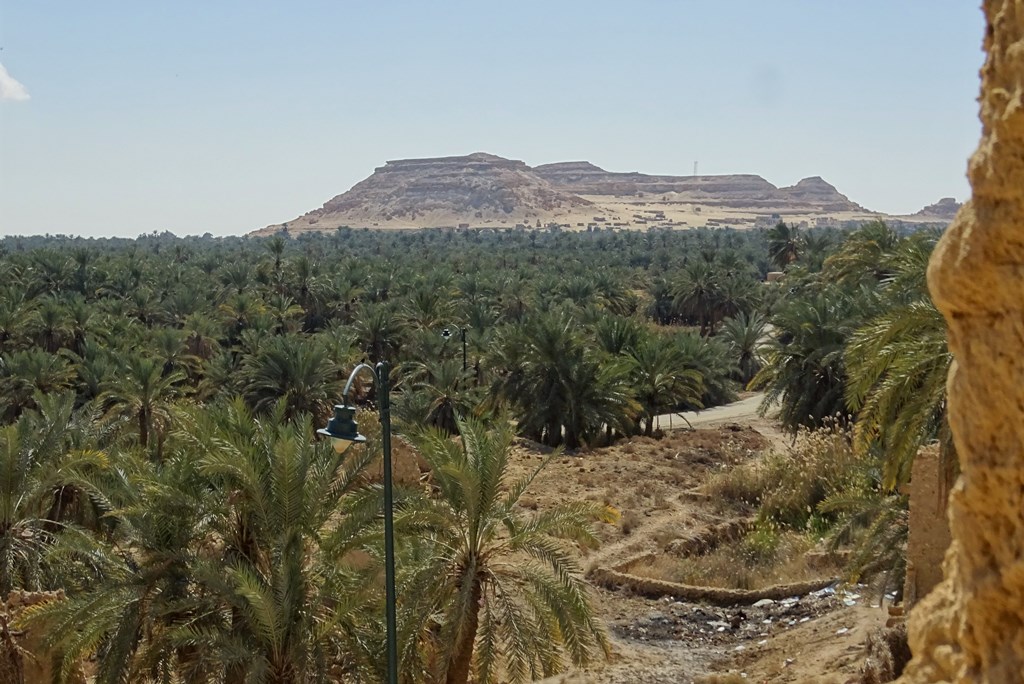 Siwa Oasis, Western Desert, Egypt