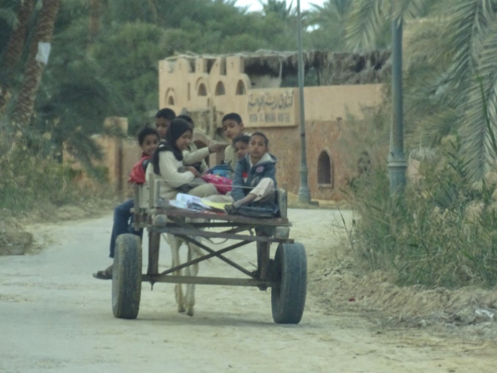 School Bus, Siwa Oasis, Western Desert, Egypt