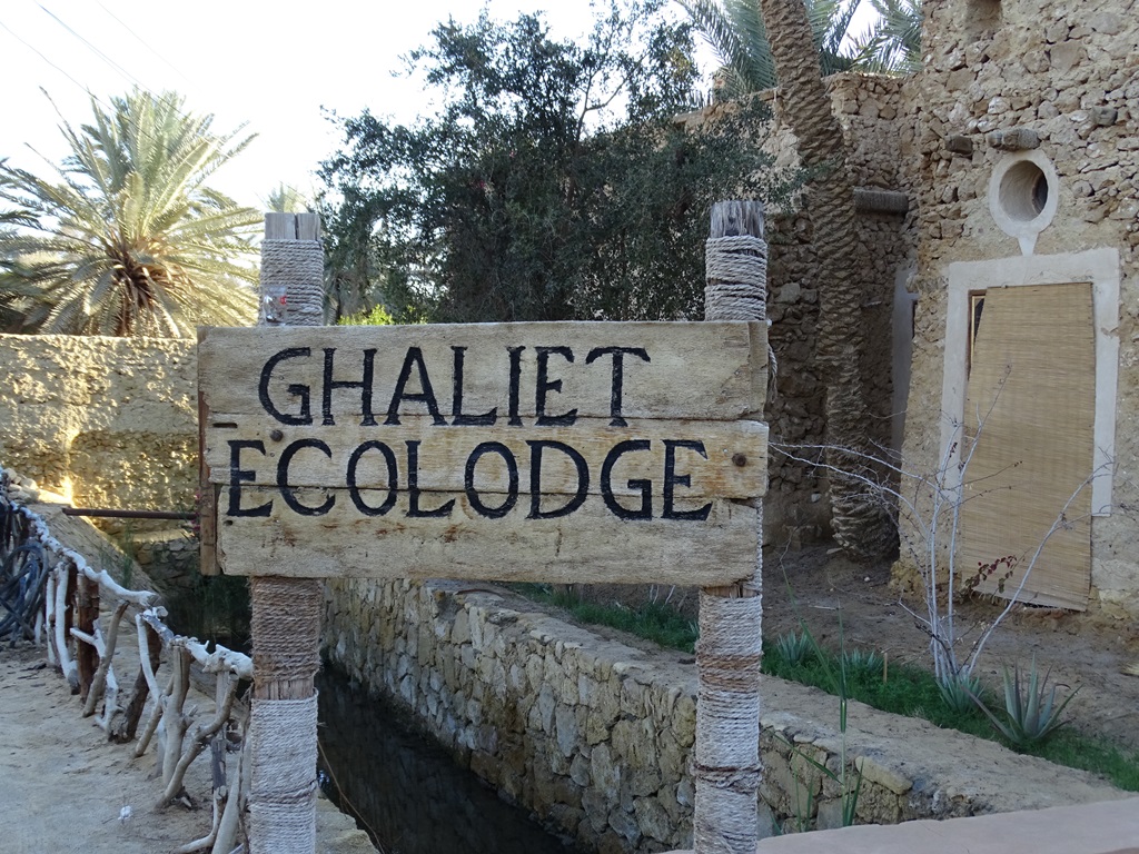 Ghaliet Ecolodge, Siwa Oasis, Western Desert, Egypt
