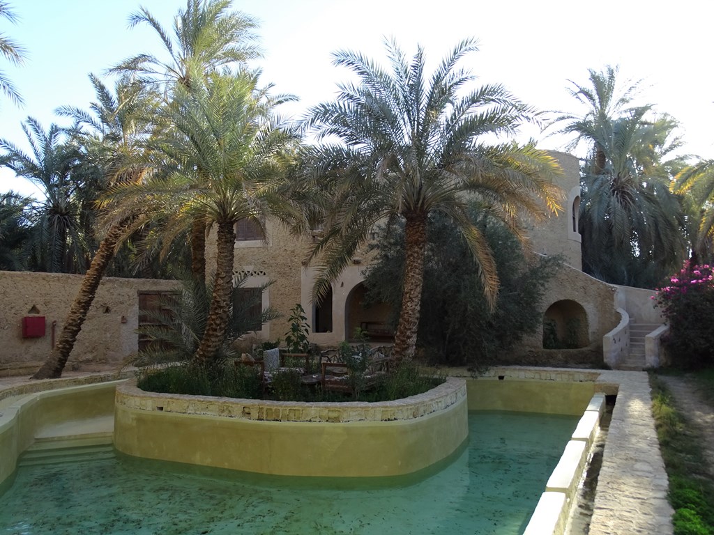 Ghaliet Ecolodge, Siwa Oasis, Western Desert, Egypt