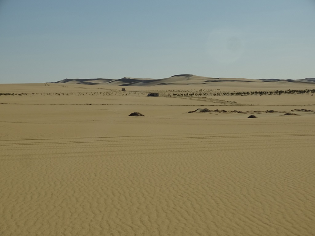 The Great Sand Sea, Siwa, Egypt