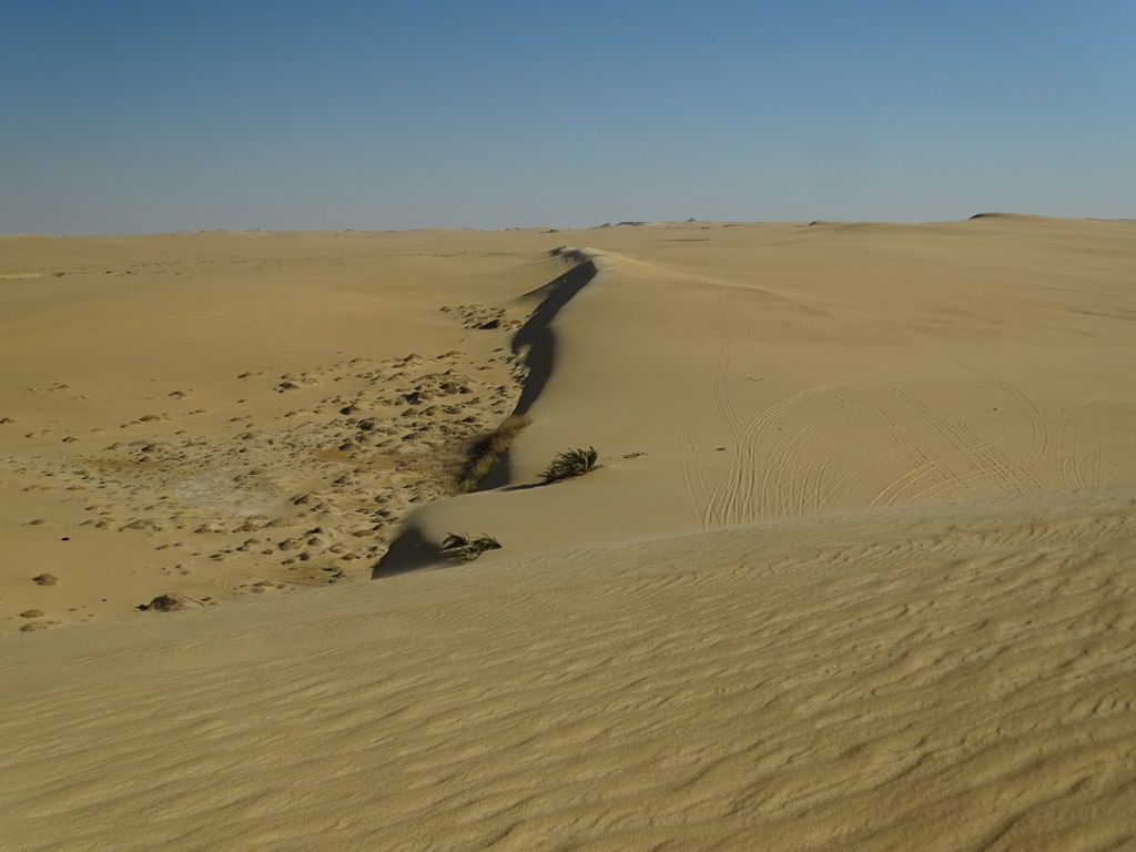 The Great Sand Sea, Siwa, Egypt