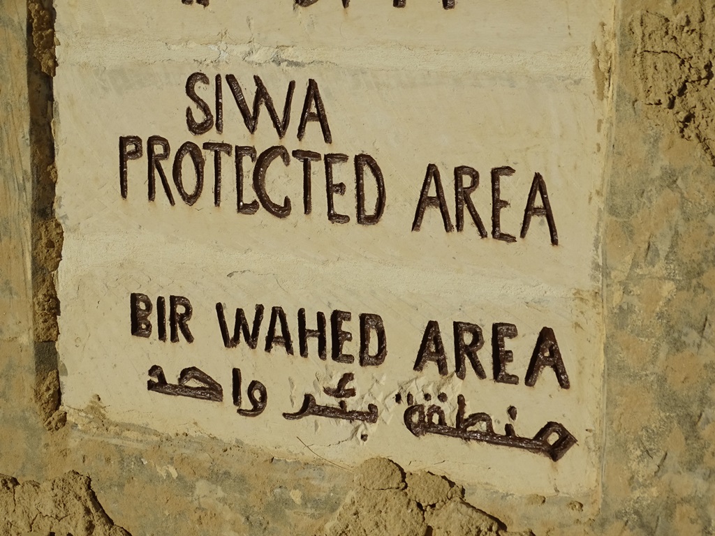 Bir Wahed Protected Area, The Great Sand Sea, Siwa, Egypt