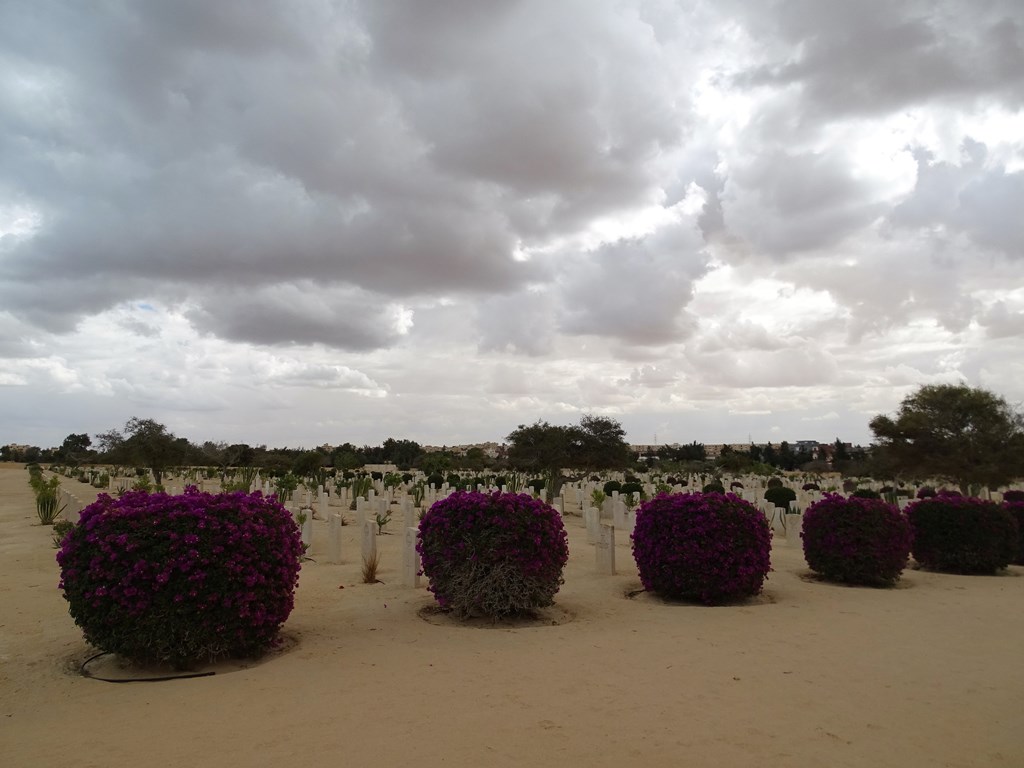 El Alamein War Cemetery, Egypt