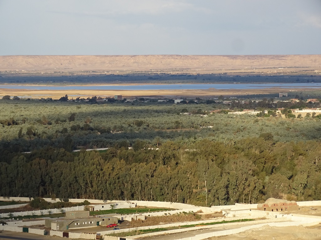  Bahariya Oasis, Western Desert, Egypt