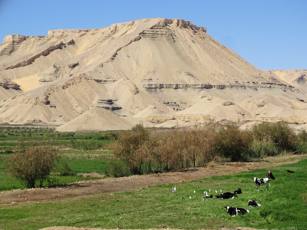 The Western Desert, Farafra to Dakhla, Egypt