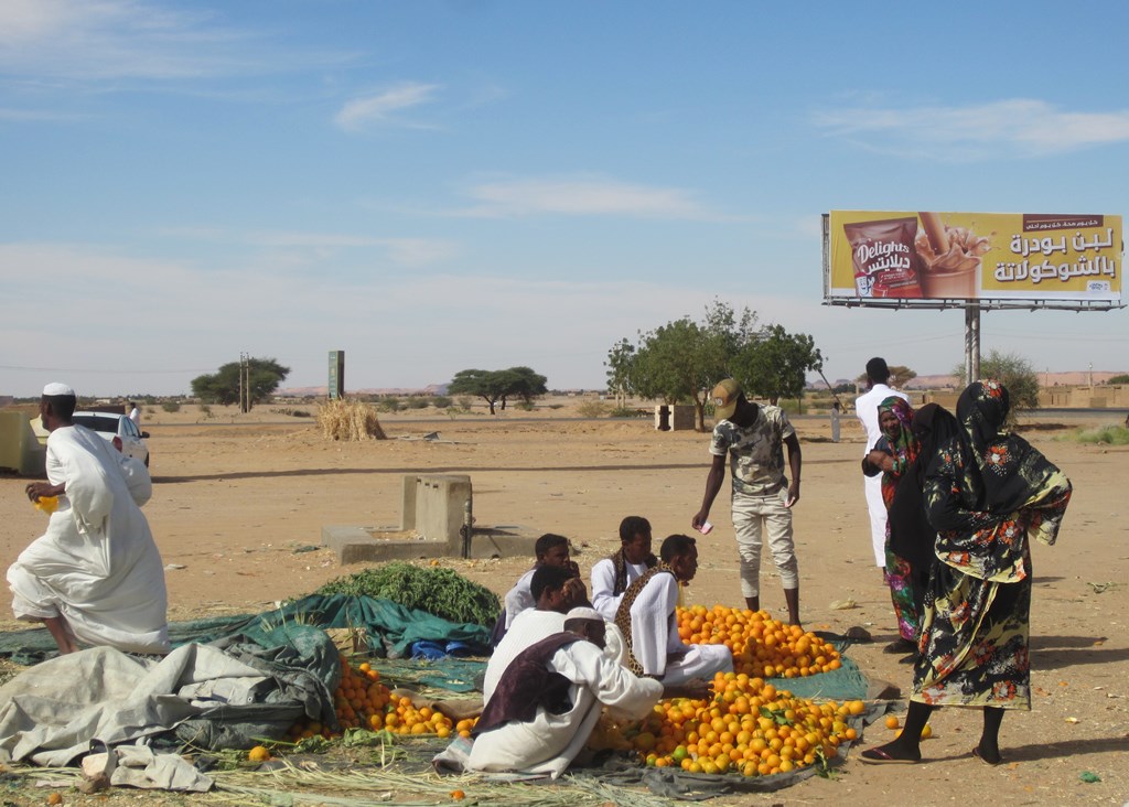 The West Road, Bayuda Desert, Sudan