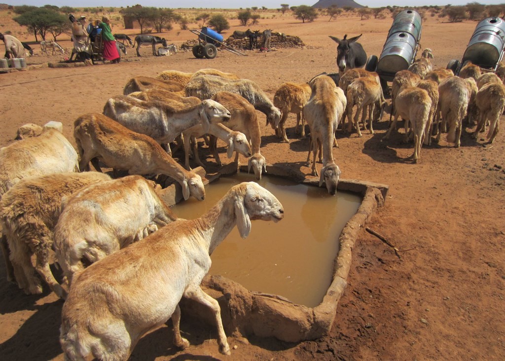 Sudan Desert