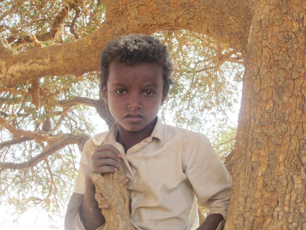 The Desert, Northern State, Sudan