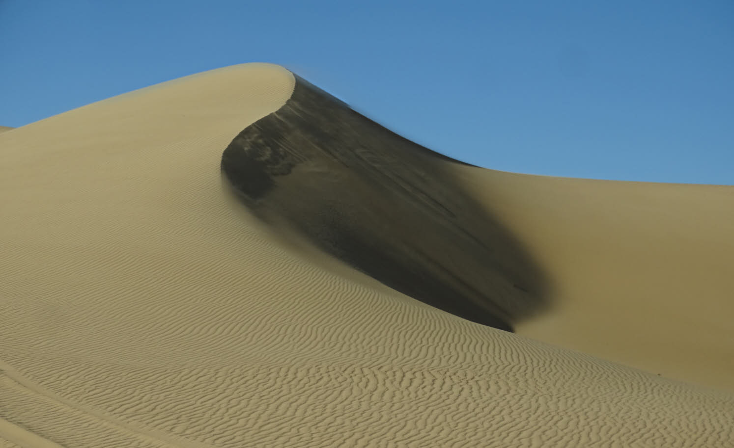 The Great Sand Sea, Siwa, Egypt