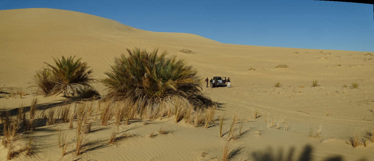 The Great Sand Sea, Siwa, Egypt