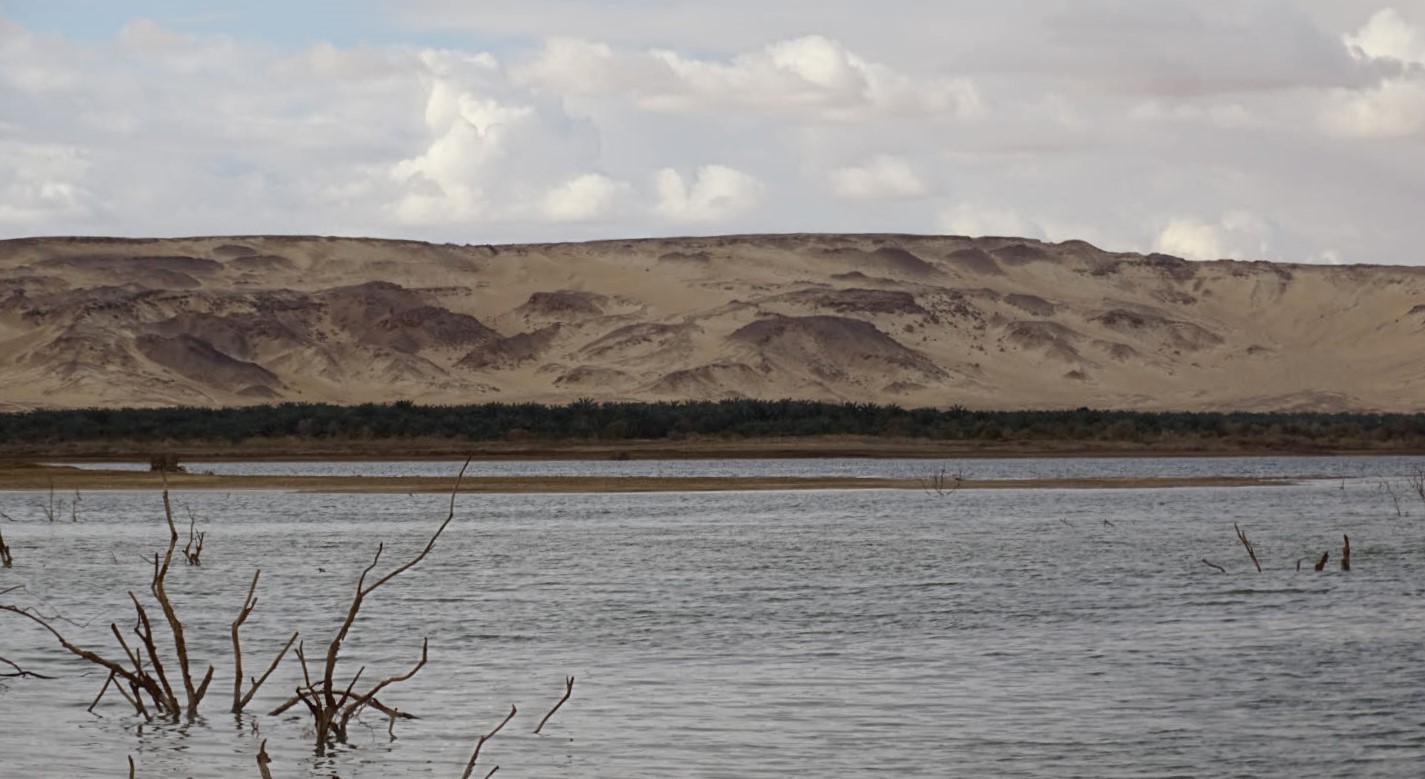  Bahariya Oasis, Western Desert, Egypt