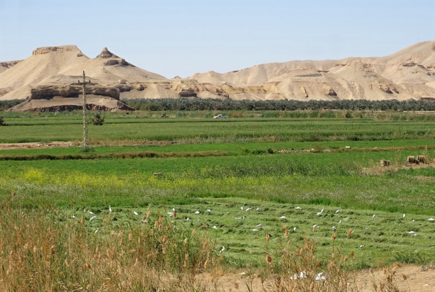 The Western Desert, Farafra to Dakhla, Egypt